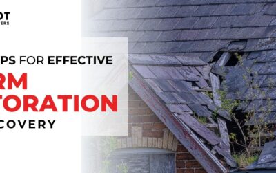 Expert Tips for Effective Storm Restoration and Recovery